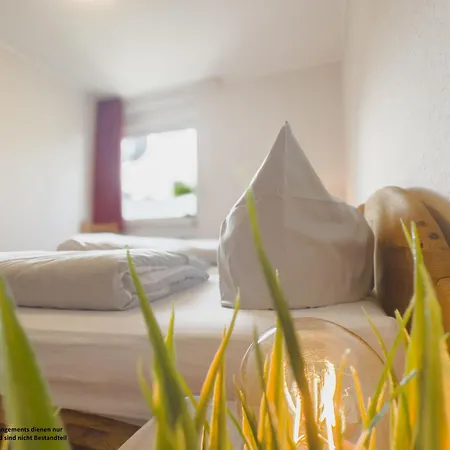 Friesenglueck - Schillig