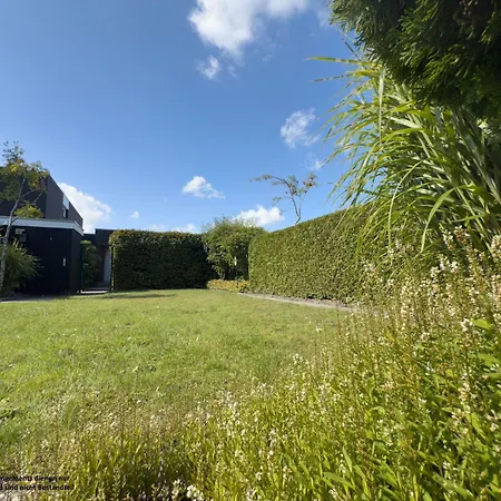 Friesenglueck -
